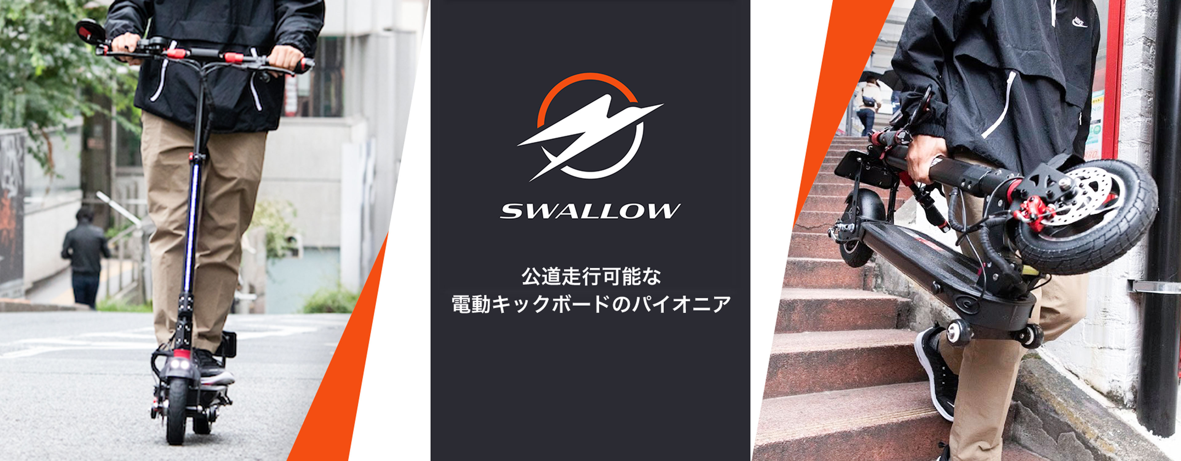swallow